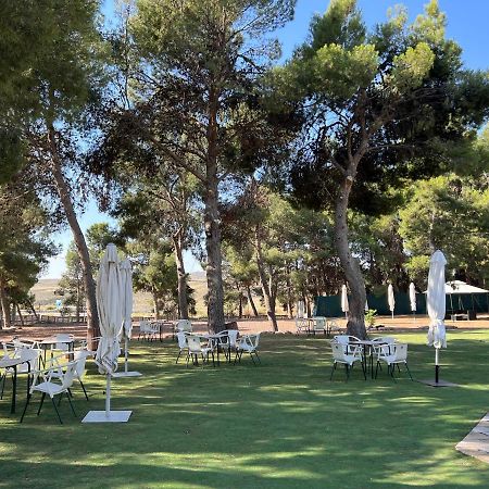 Hotel El Cisne Σαραγόσα Εξωτερικό φωτογραφία