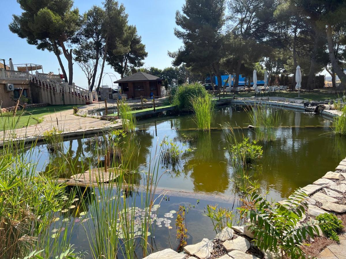 Hotel El Cisne Σαραγόσα Εξωτερικό φωτογραφία