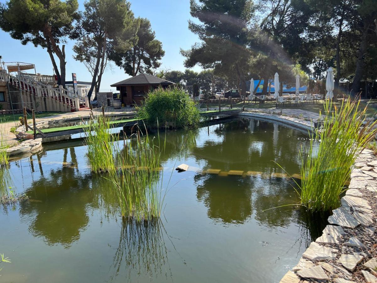 Hotel El Cisne Σαραγόσα Εξωτερικό φωτογραφία