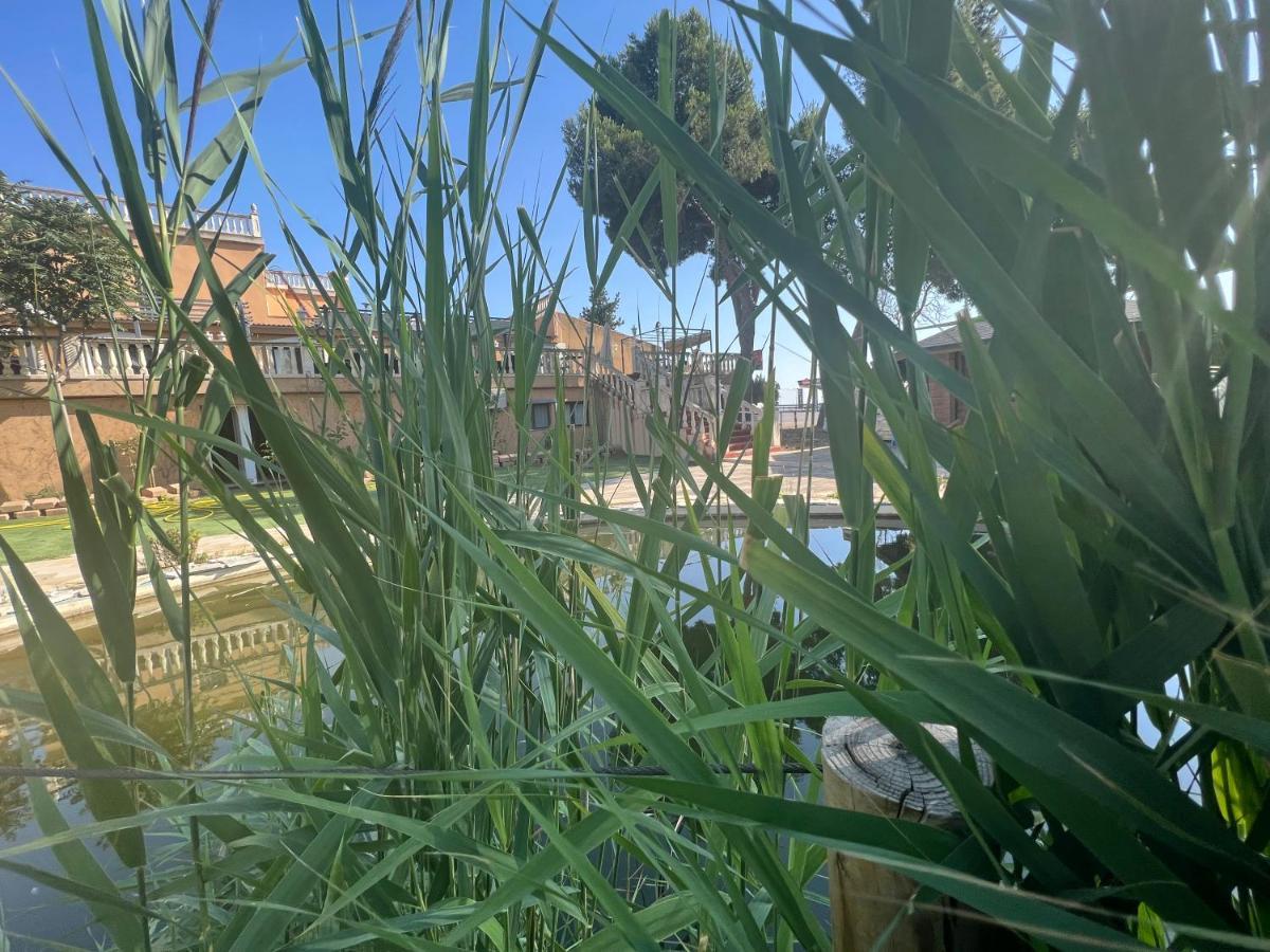 Hotel El Cisne Σαραγόσα Εξωτερικό φωτογραφία